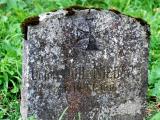 image of grave number 196828